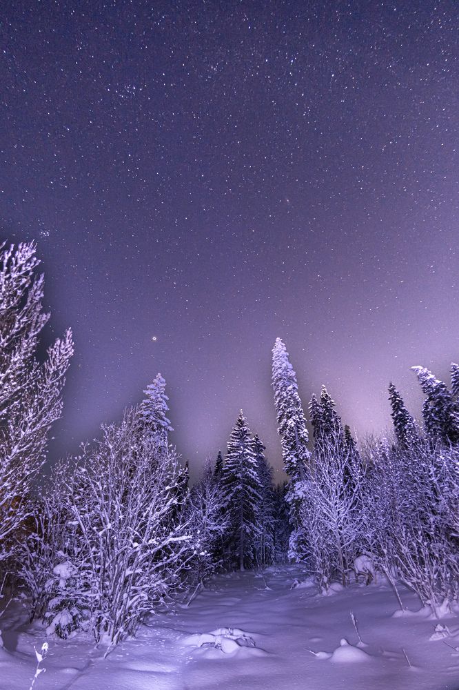 Photograph by Алексей Ильин