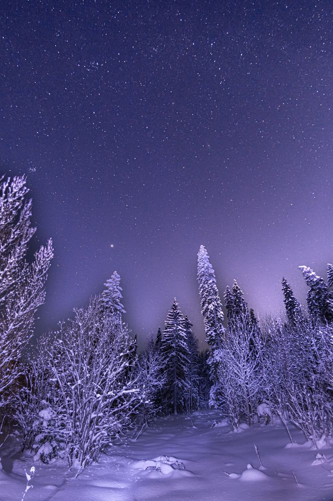 Photograph by Алексей Ильин