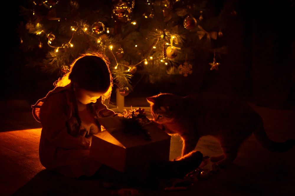 Photograph by Наталья Мартынова