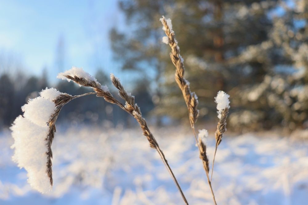 Photograph by Владимир Перминов