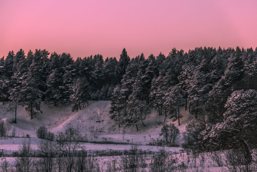 Photograph by Владимир Петухов