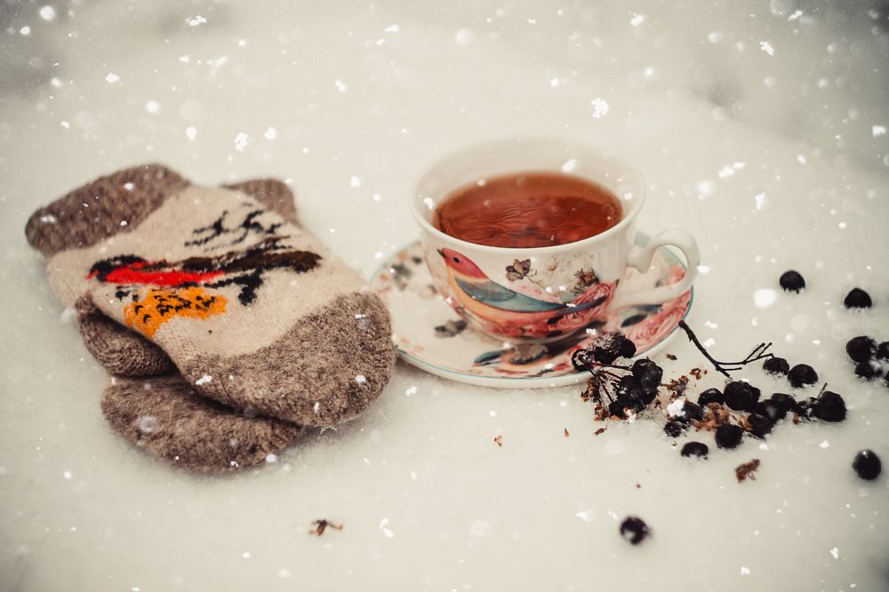 Фотография автора Мария Курицына