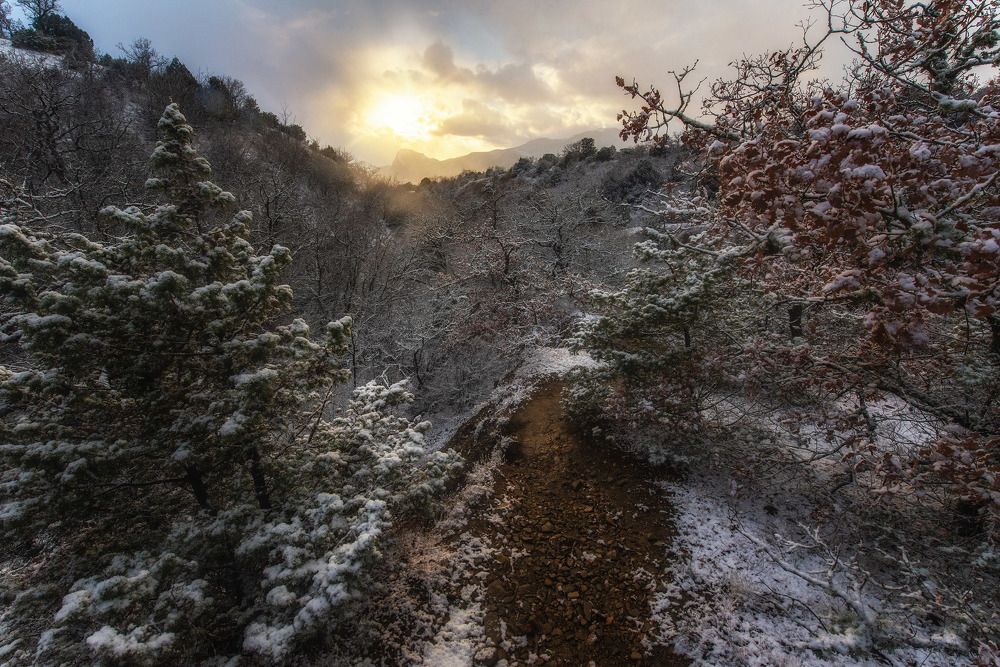 Photograph by Николай Кононов