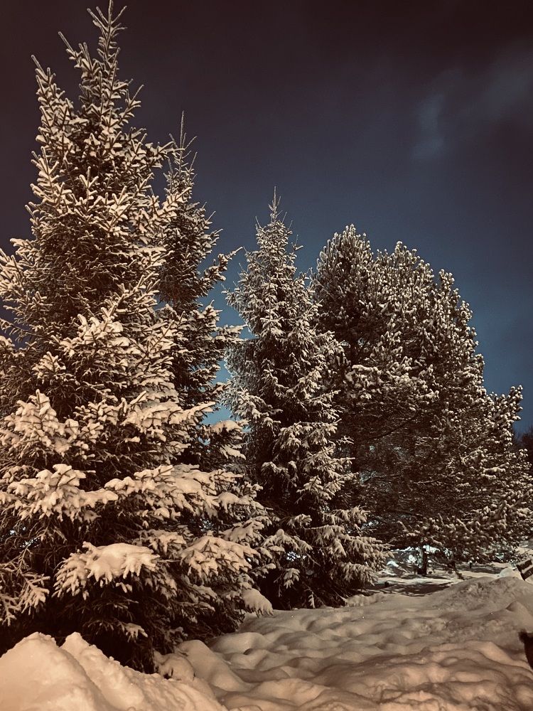 Photograph by Юлия