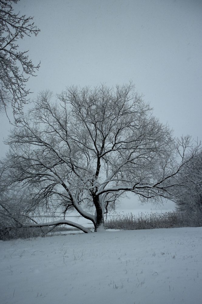 Фотография автора Ольга Панасюк