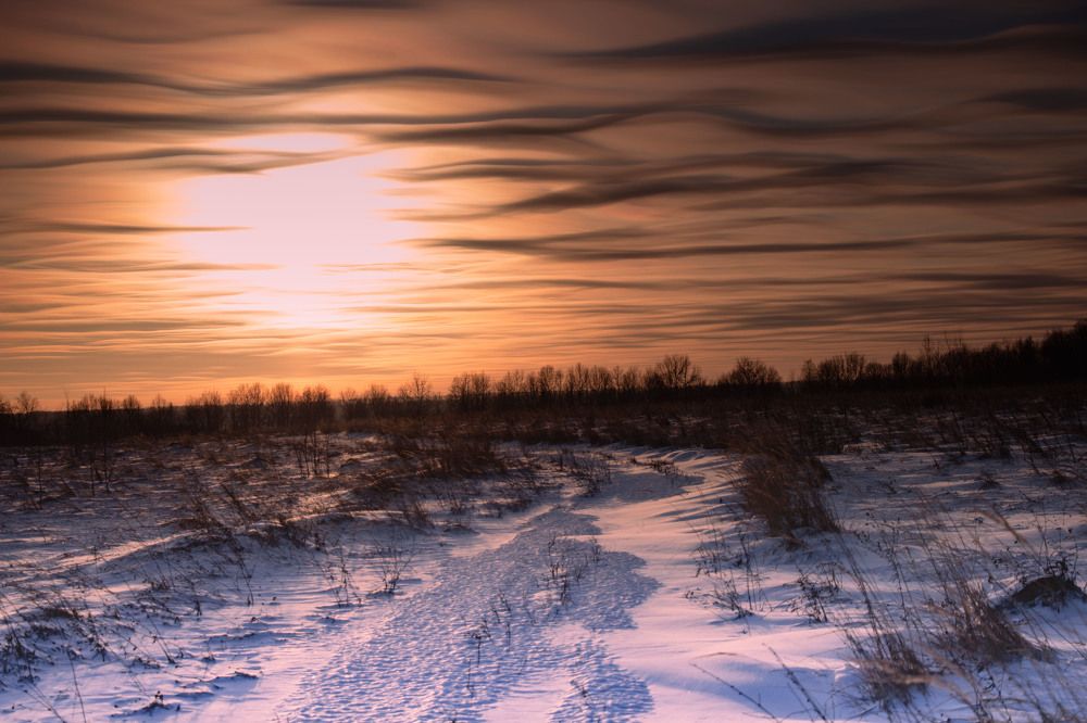 Фотография автора Елена Запертова