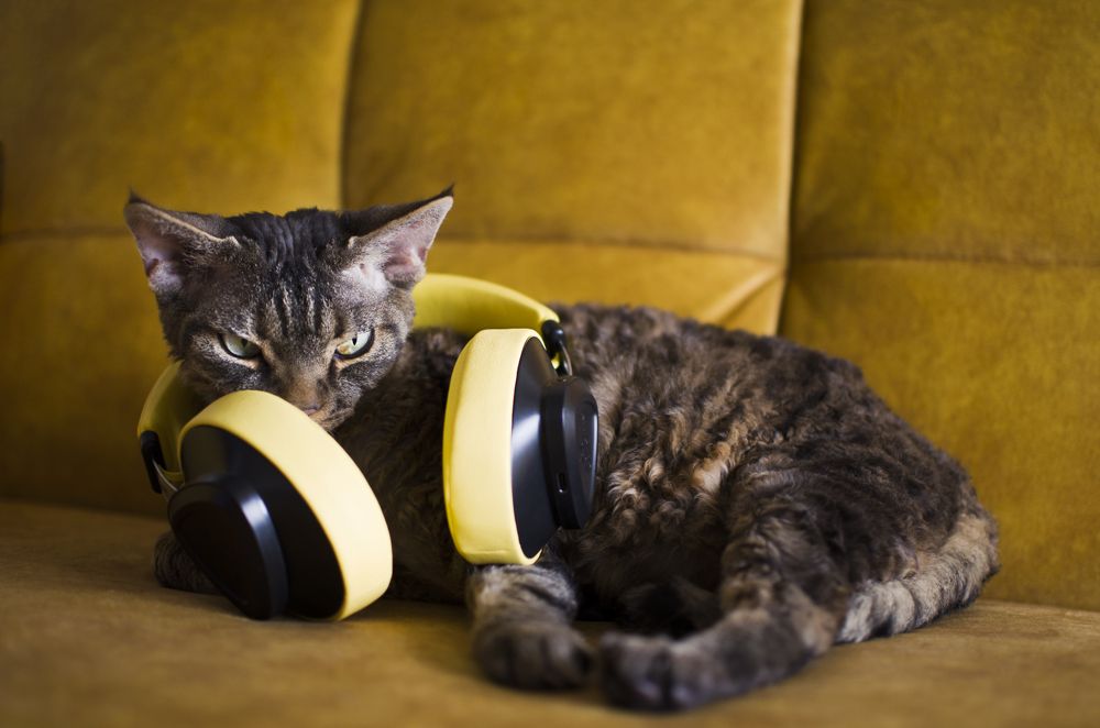 Photograph by Natali Stroganova