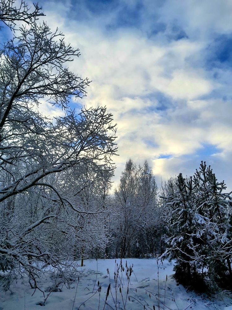 Photograph by Алена Ходатович