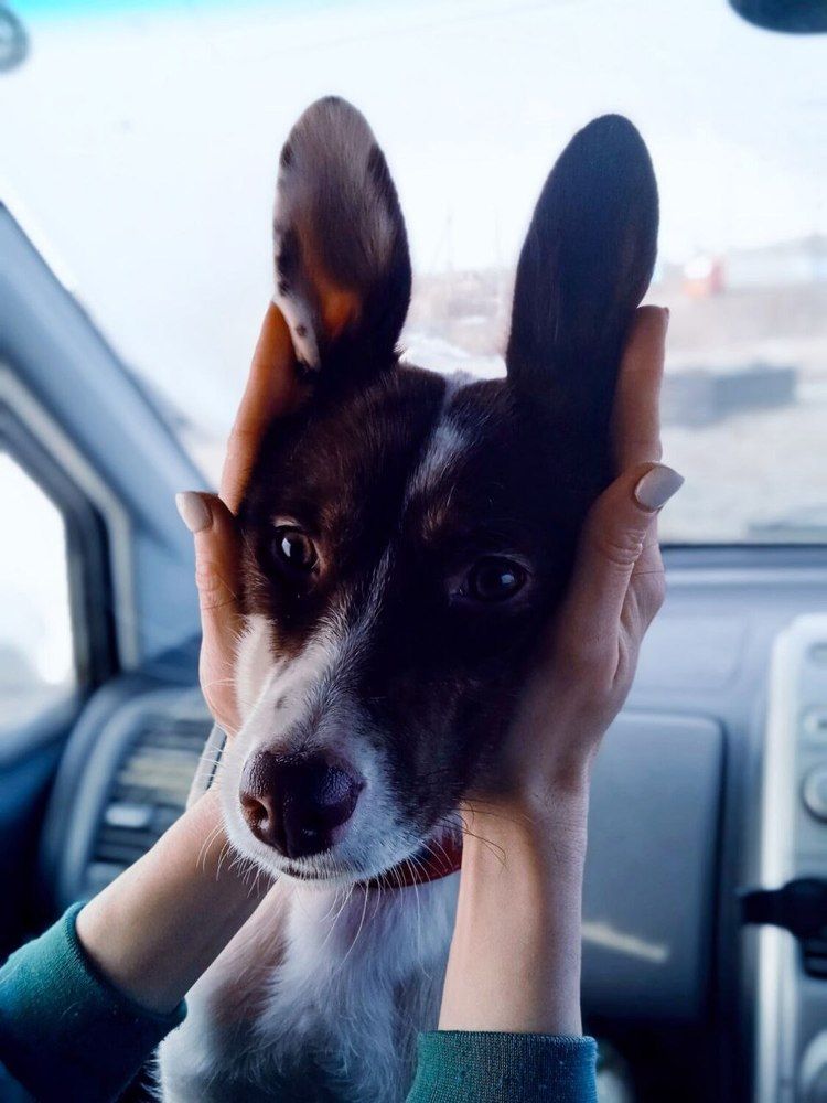 Photograph by Марианна Чайка