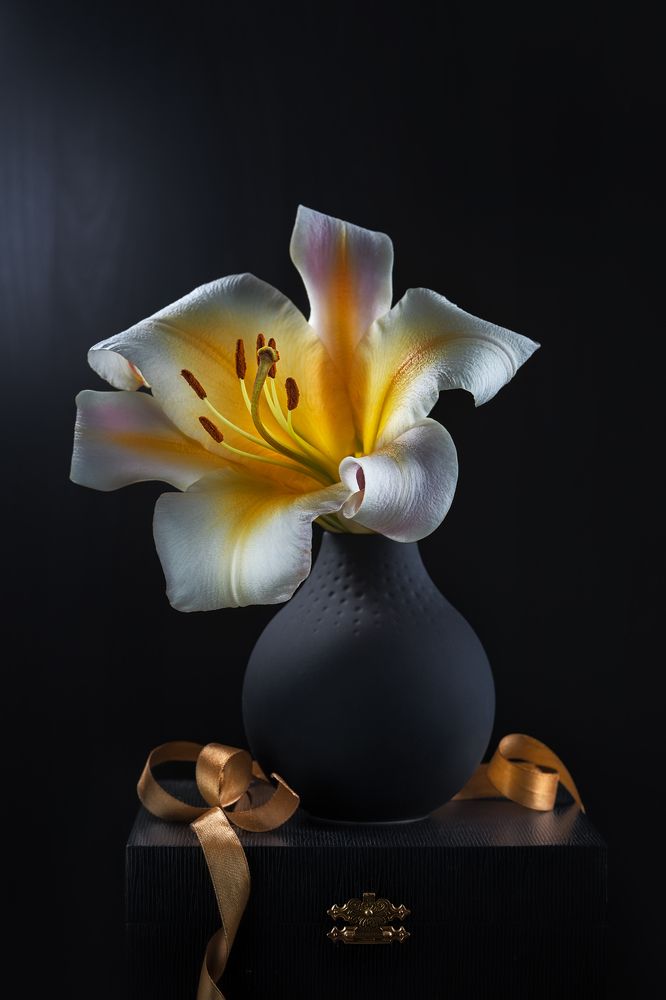 Фотография автора ЯR Ольга