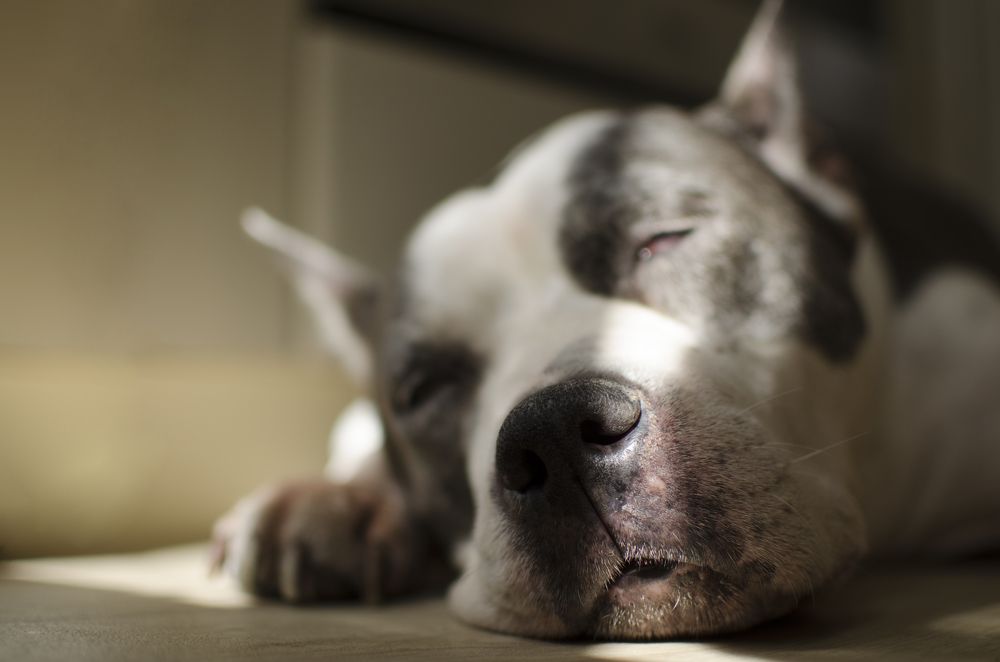 Photograph by Natali Stroganova