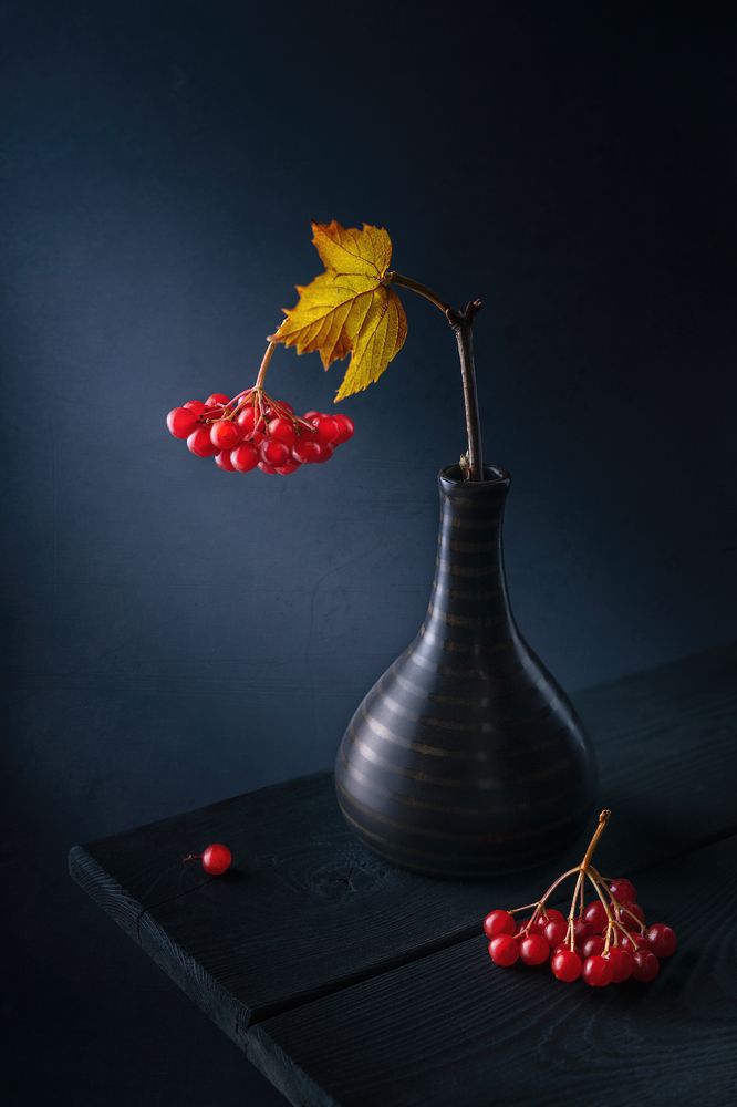 Фотография автора ЯR Ольга