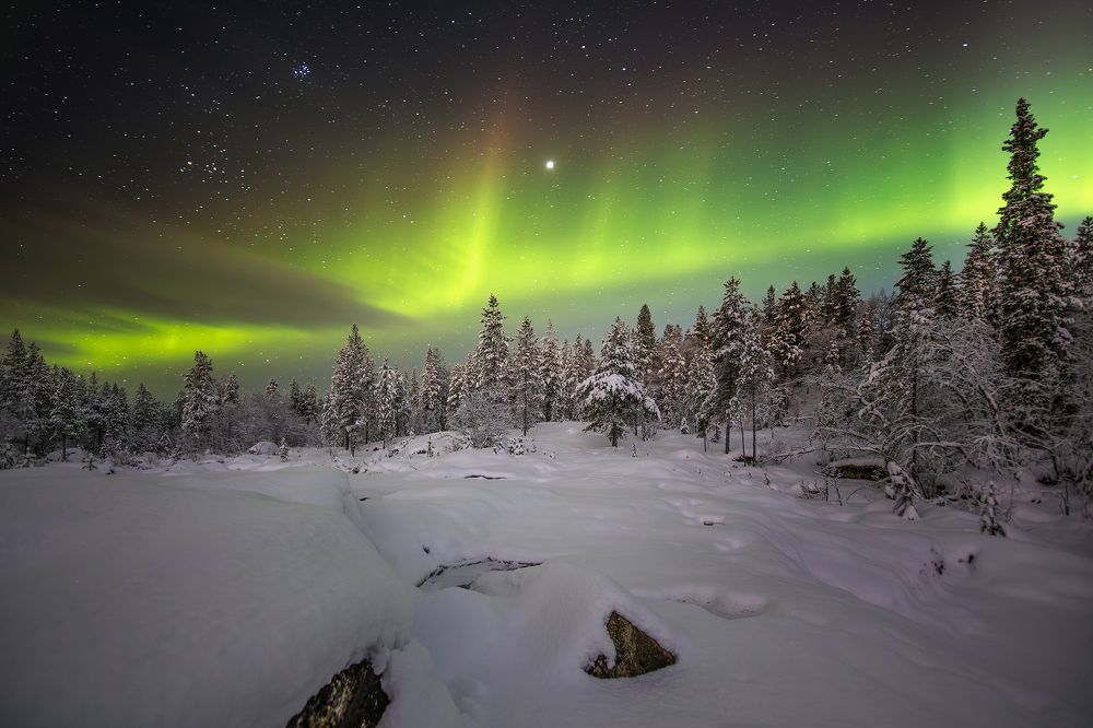 Photograph by Парамонов Григорий