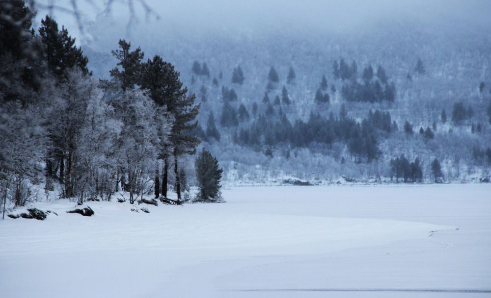 Фотография автора Светлана Терехова