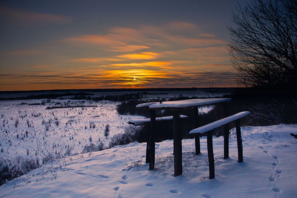Фотография автора Елена Запертова
