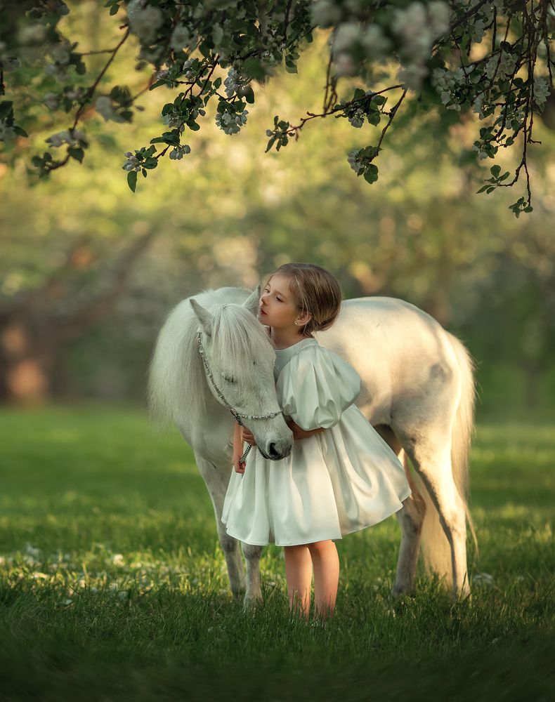Photograph by 