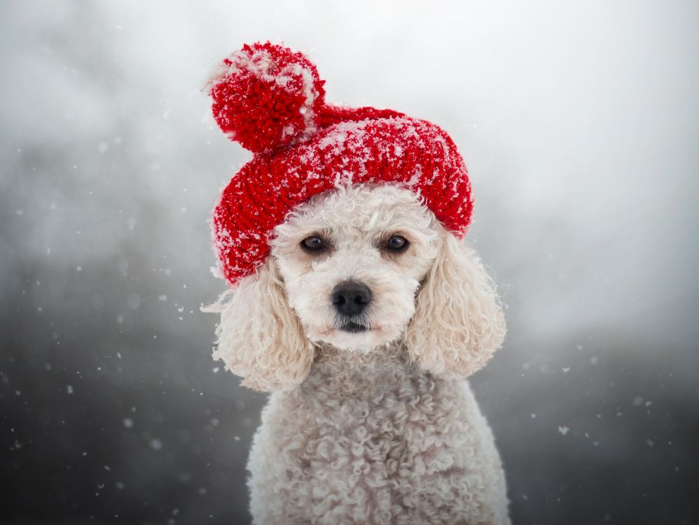 Photograph by Dorota Hnatová