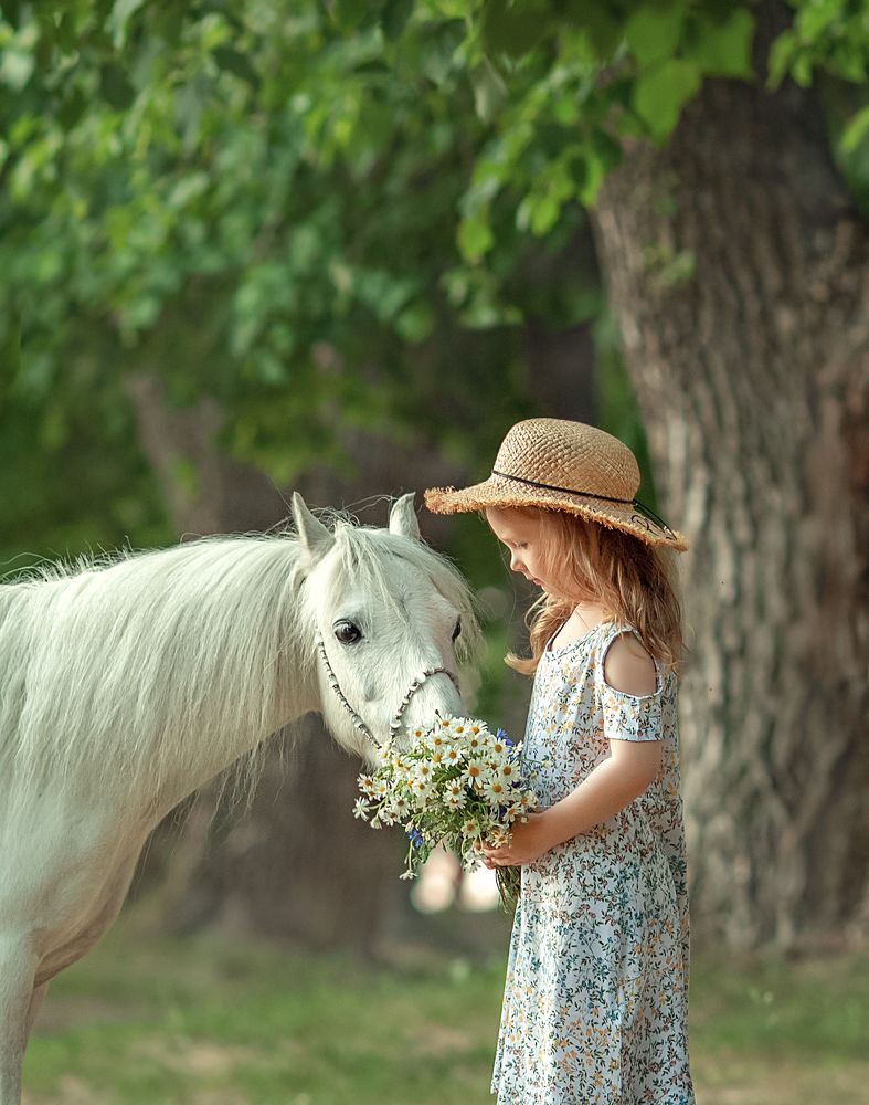 Photograph by 