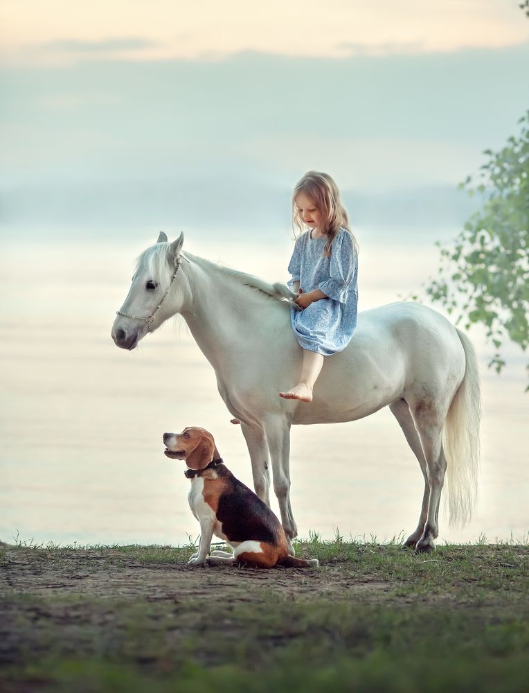 Photograph by 
