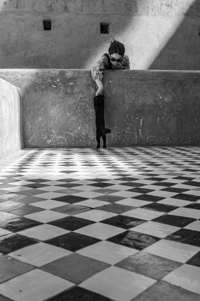 Фотография автора Sérgio Brandão