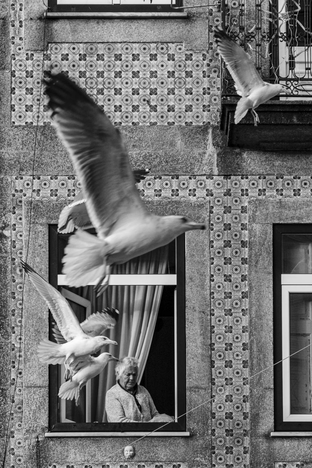 Фотография #10084976