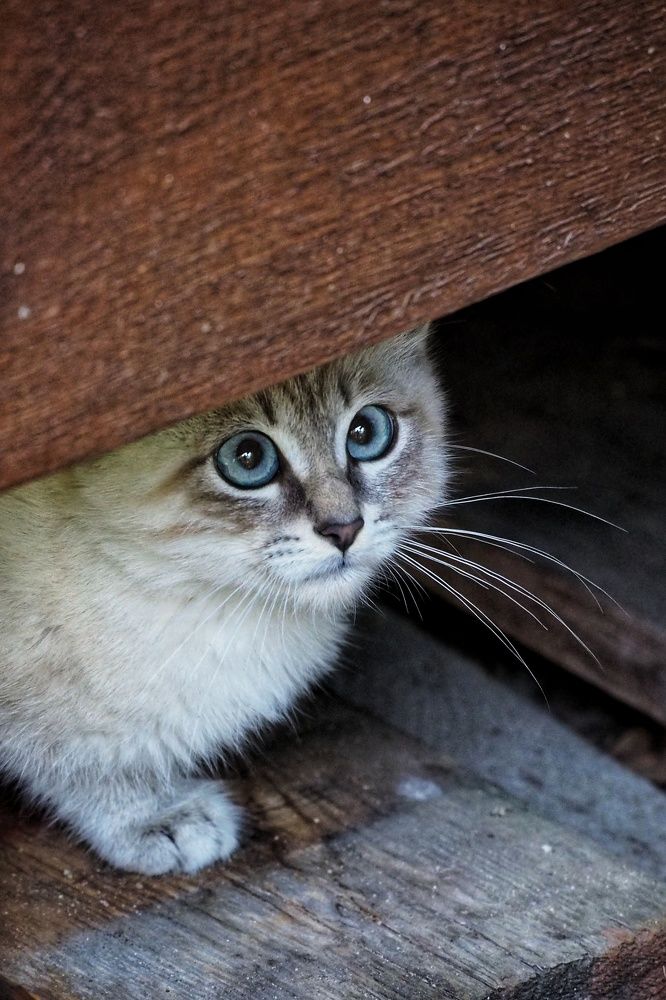 Photograph by Анастасия Кочетова