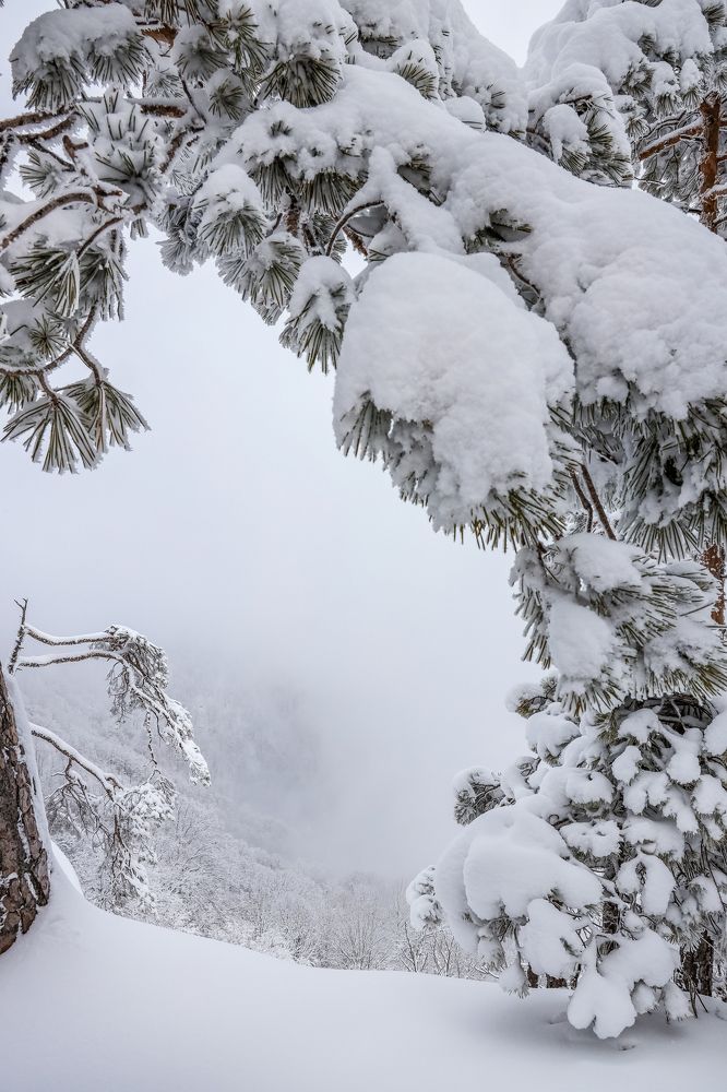 Photograph by Виктория Бережок