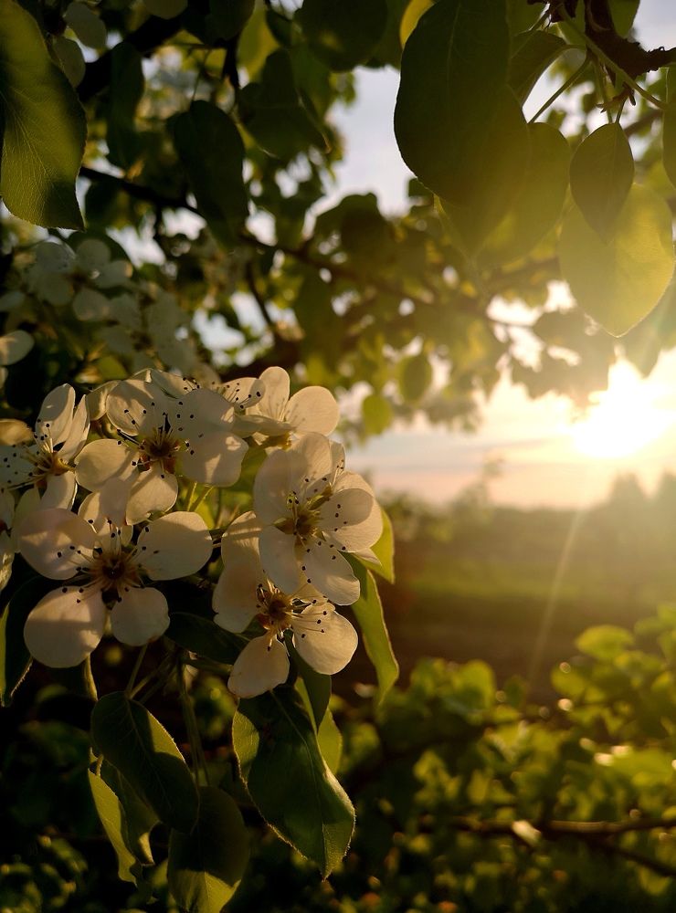 Photograph by Екатерина Борисовна Кузьмина