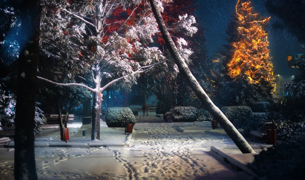 Фотография автора Oleg Suhenko