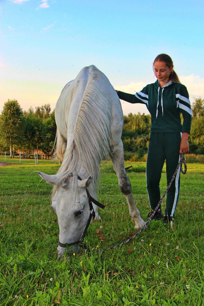 Фотография автора Анатолий Борисов