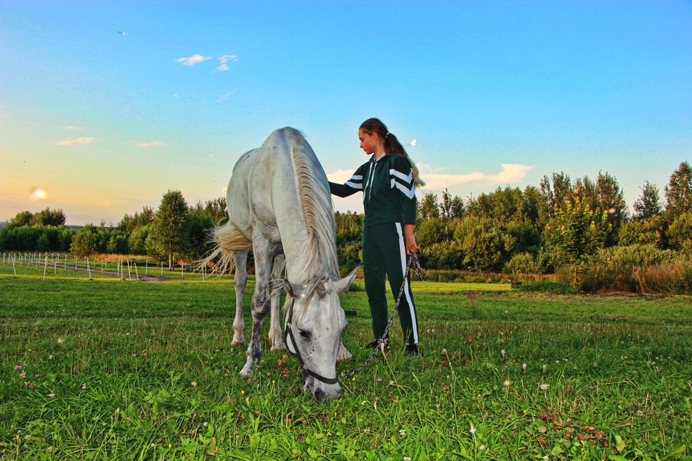 Фотография автора Анатолий Борисов