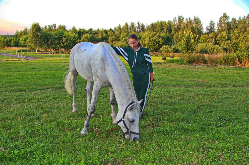Фотография автора Анатолий Борисов