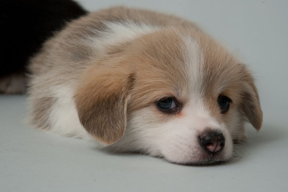 Photograph by Надежда