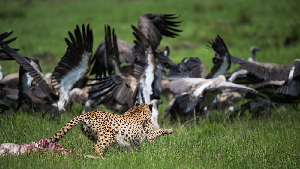 Фотография автора Anand Kumar