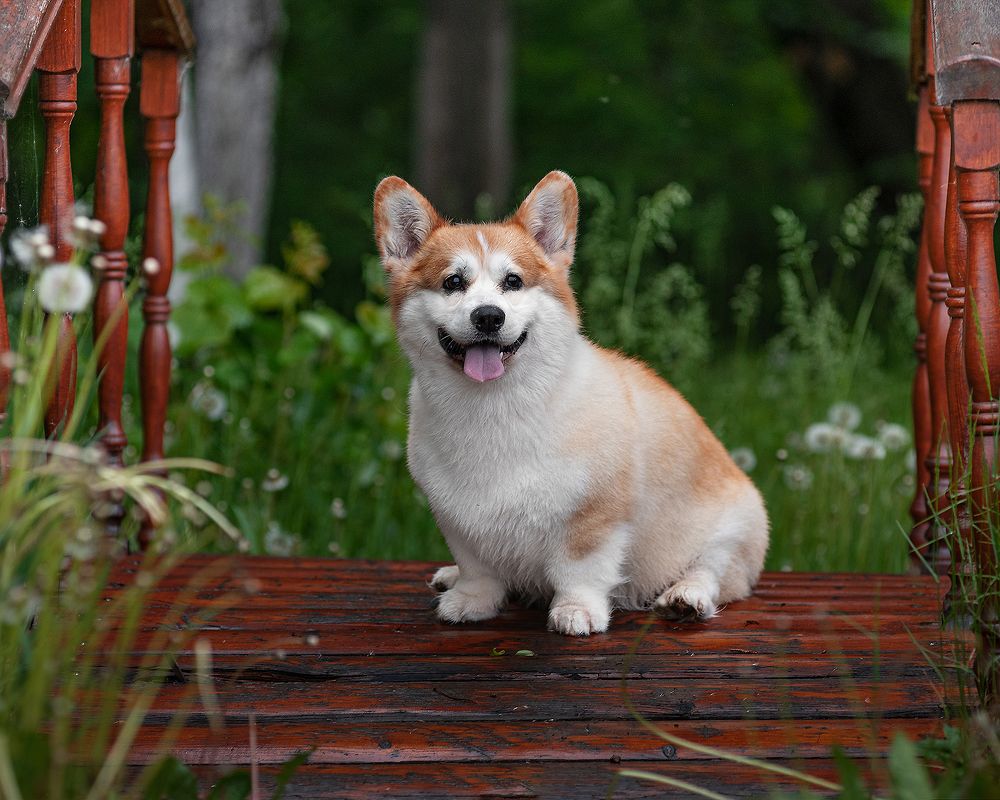 Photograph by Виктория Сафонова