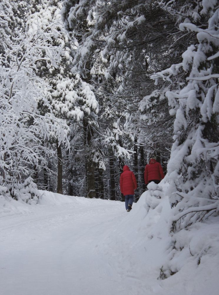 Photograph by Татьяна Пуртова