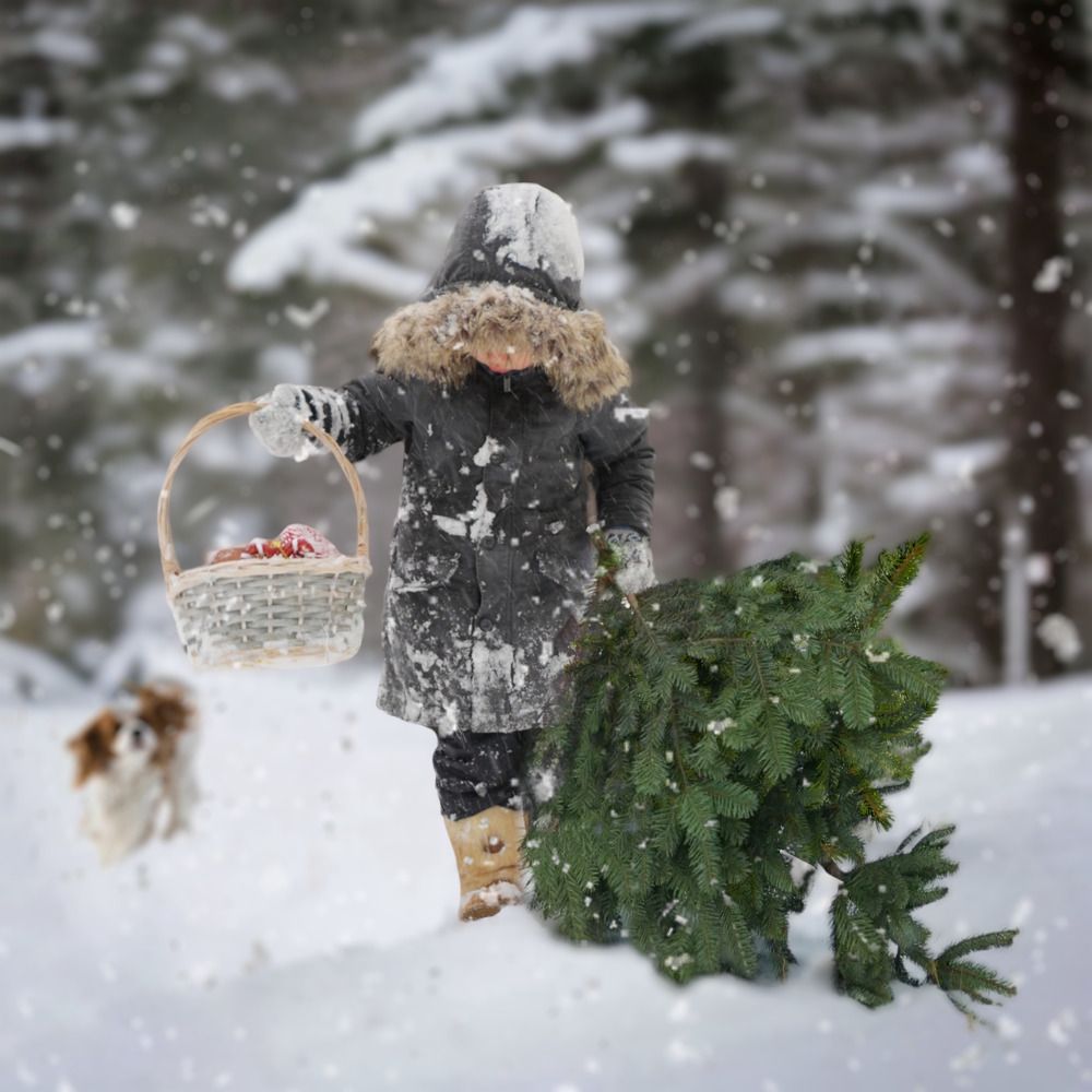 Photograph by Елена Владимировна