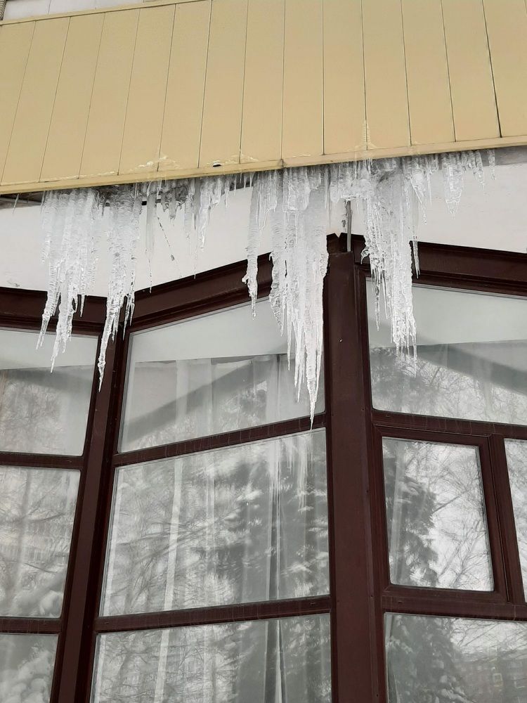 Photograph by Елена Горева