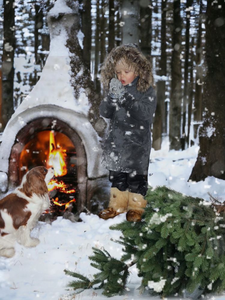 Предновогодние дни.