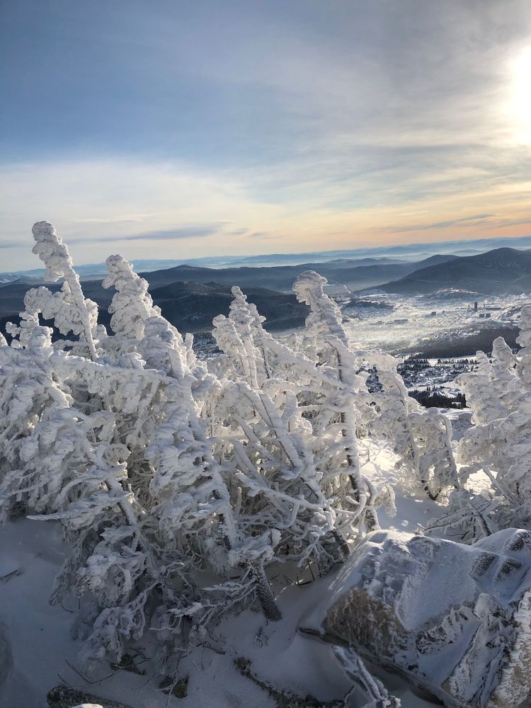 Photograph by Елена Горева