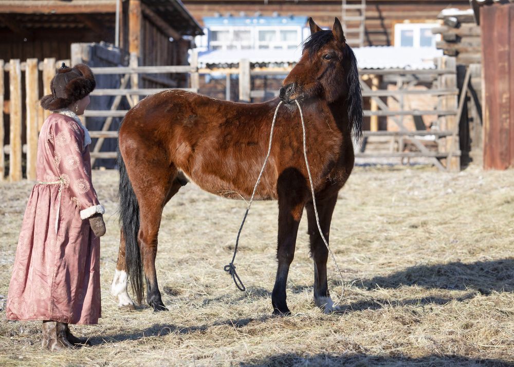 Фотография автора Светлана Барнадаева