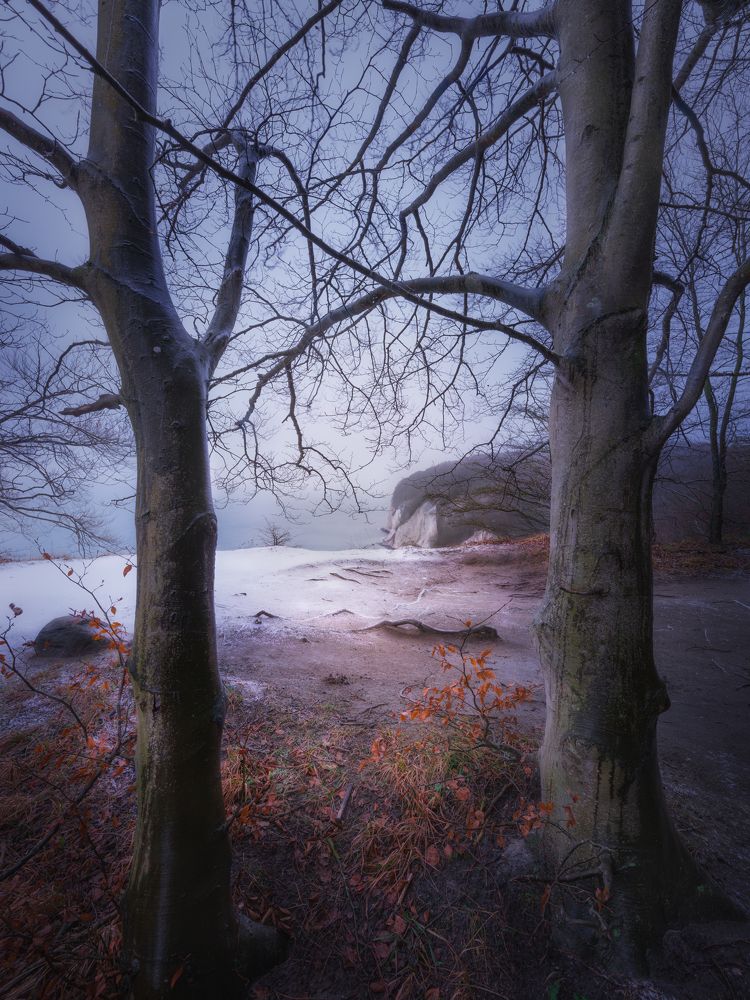 Photograph by Михаил Козлов