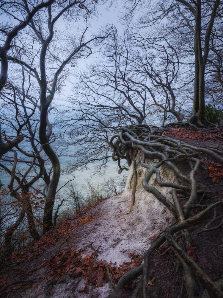 Photograph by Михаил Козлов