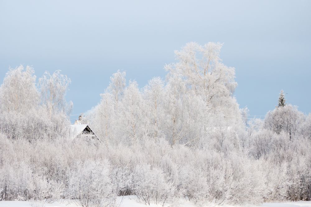 Photograph by Alexandr