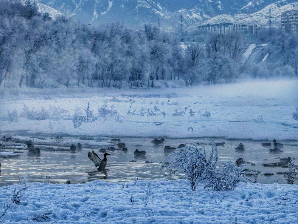 Photograph by Сергей Пермин