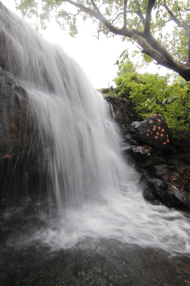 Photograph by Suguresh Sultanpur