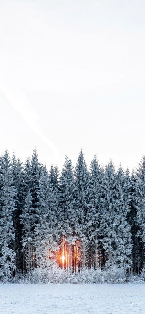 Photograph by Марианна Чайка