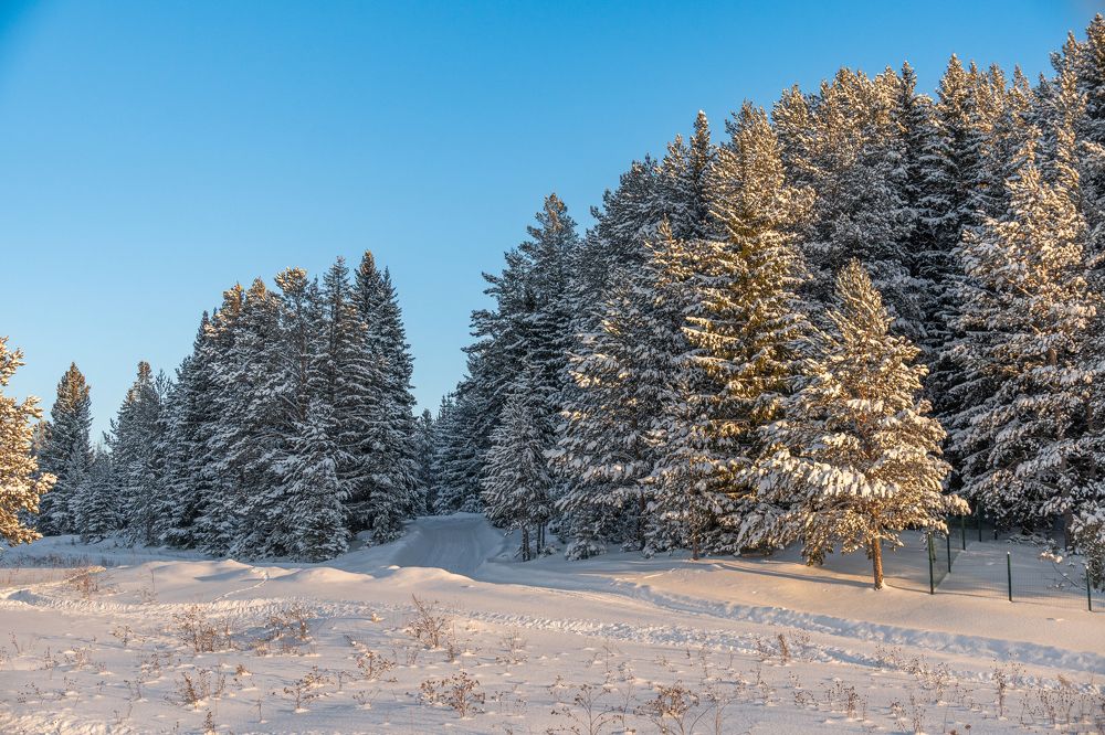 Photograph by Высотских Владимир