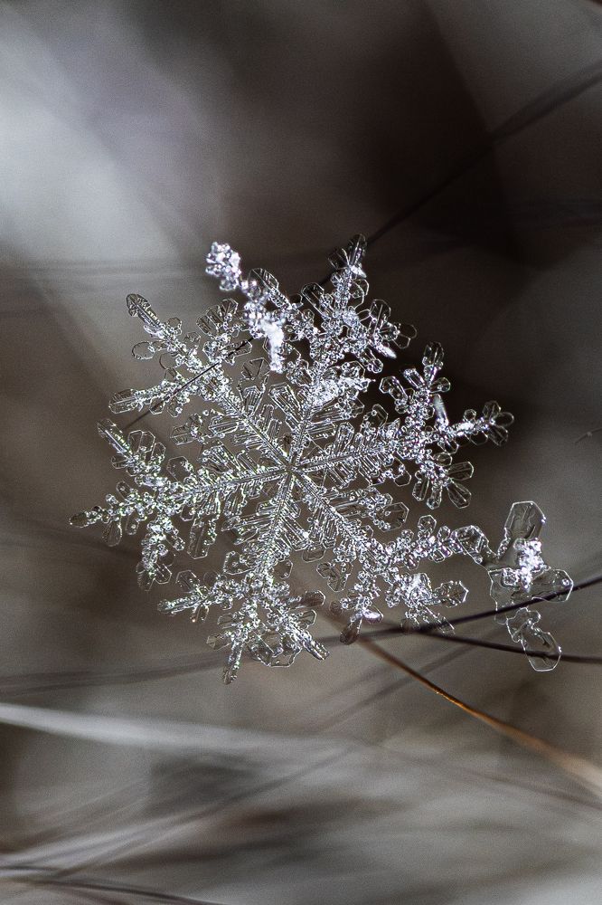 Photograph by Высотских Владимир
