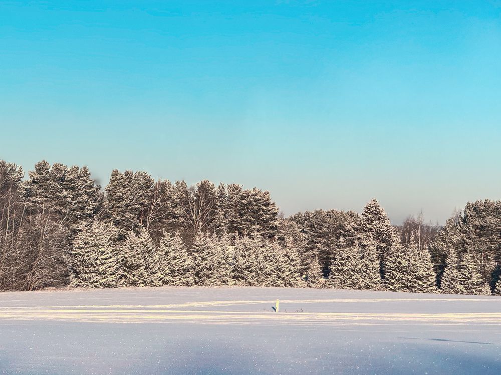 Photograph by Екатерина Слепнева